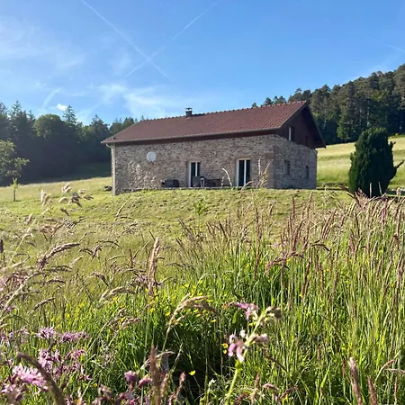 Du Bois Le Renard Proche Gerardmer Holiday home *