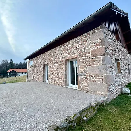 Du Bois Le Renard Proche Gerardmer *