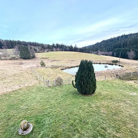 Holiday home Du Bois Le Renard Proche Gerardmer Tendon