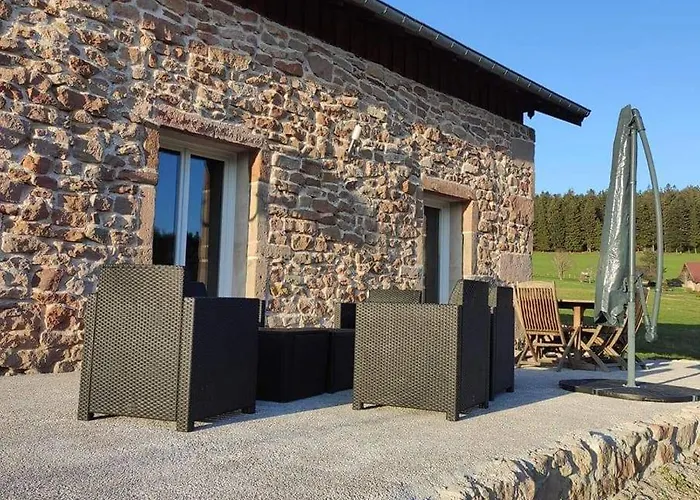 Du Bois Le Renard Proche Gerardmer * Tendon