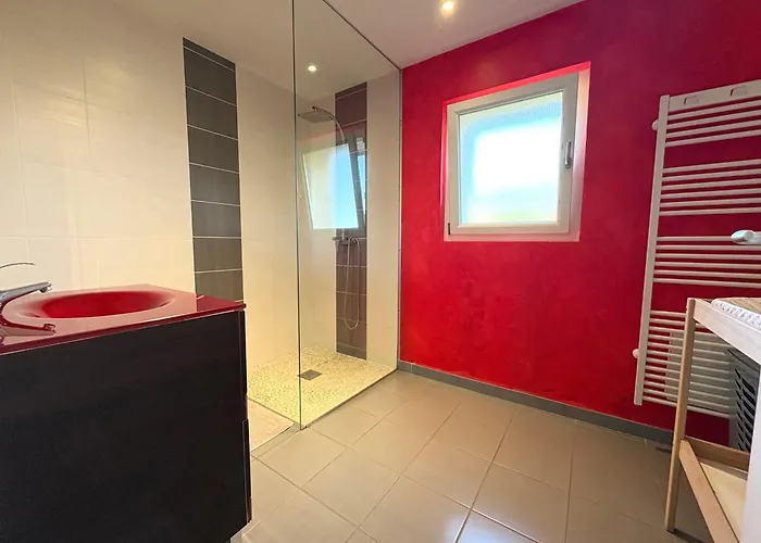 Du Bois Le Renard Proche Gerardmer *