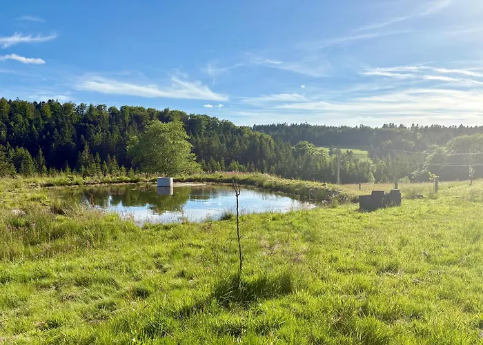 Du Bois Le Renard Proche Gerardmer Prázdninový dům