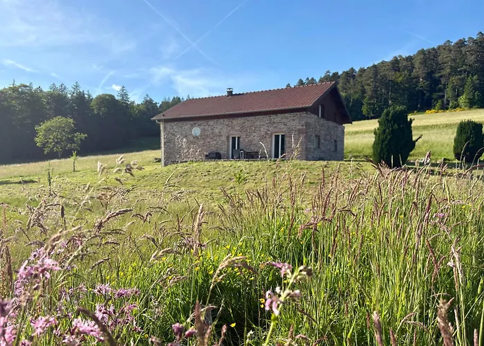 Du Bois Le Renard Proche Gerardmer Prázdninový dům *