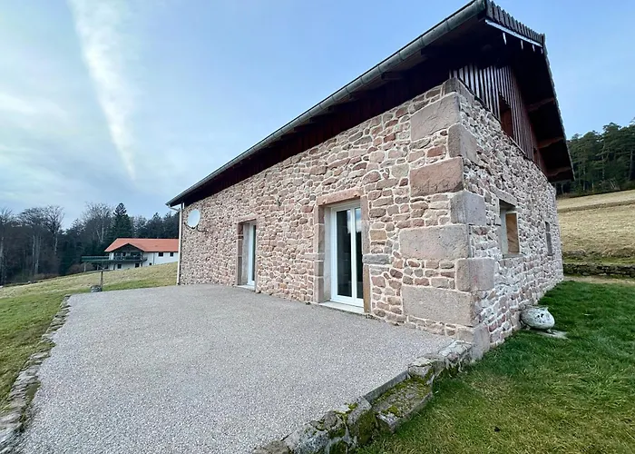 Du Bois Le Renard Proche Gerardmer *