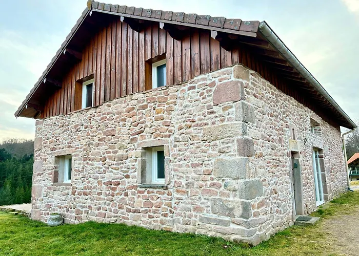 Du Bois Le Renard Proche Gerardmer * Tendon